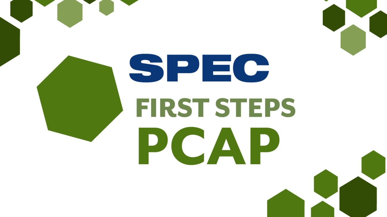 SPEC-PCAP1-80